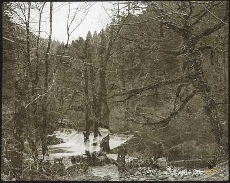 Cours d'eau en forêt (Doubs)